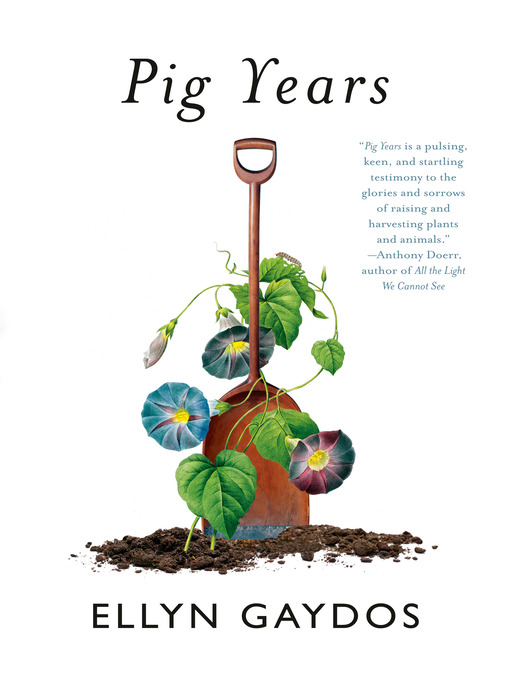 Cover image for Pig Years
